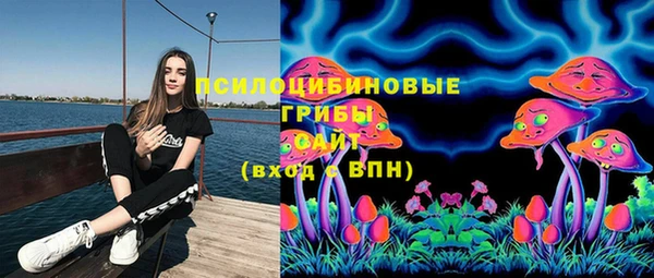 дмт Балабаново