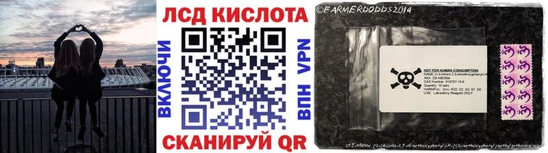 где можно купить   Вольск  Марки 25I-NBOMe 1500мкг 